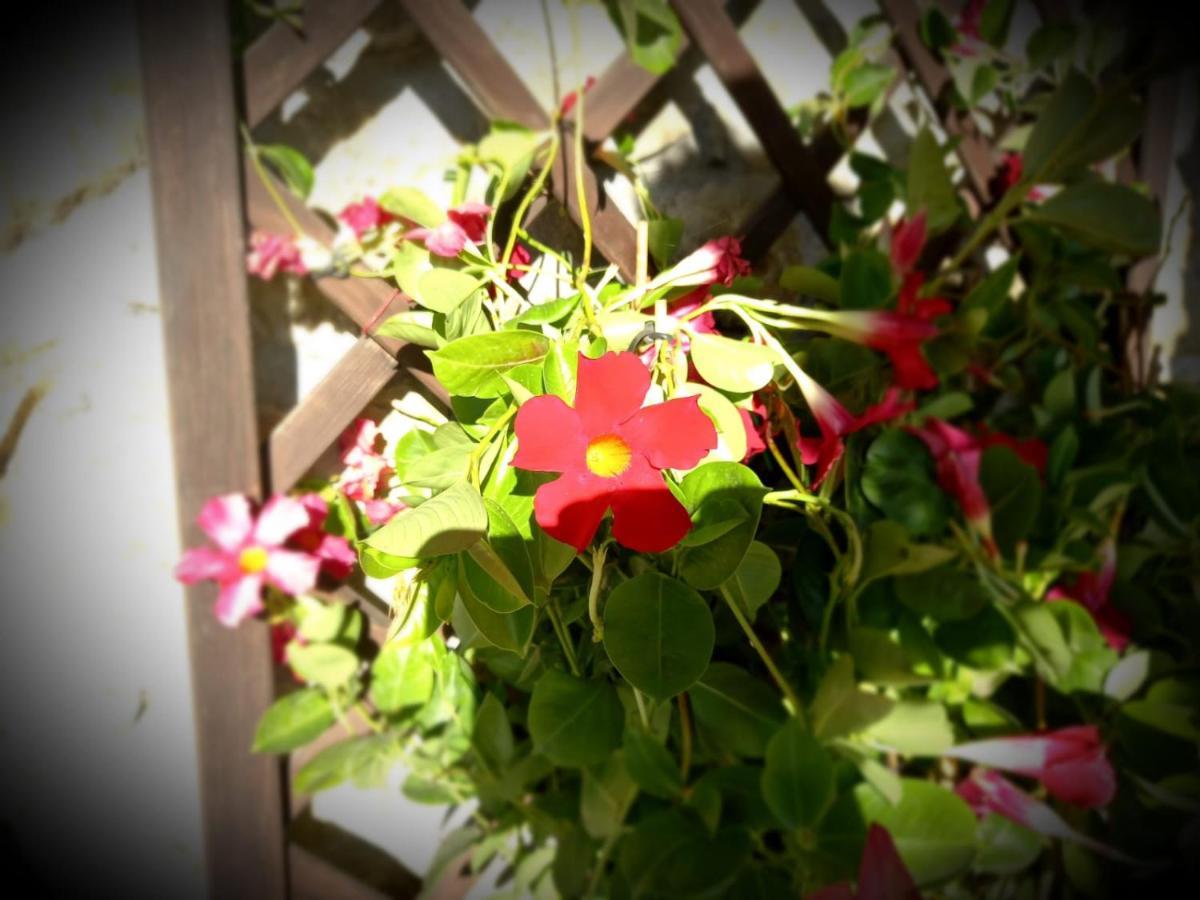 Holiday home La Casina