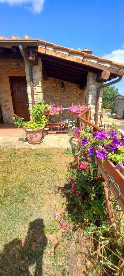 La Casina *